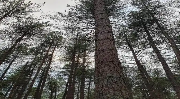 Holiday home in Huijbergen