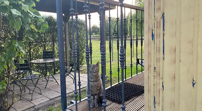 Semesterbostad i Bergen op Zoom