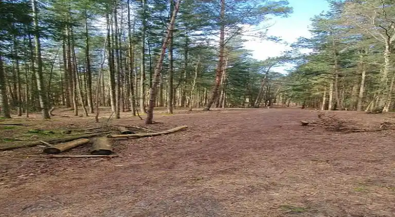 Holiday home in Huijbergen