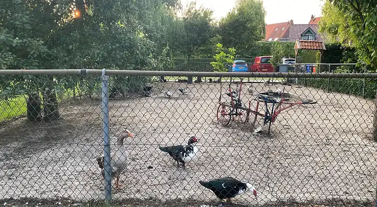 Semesterbostad i Bergen op Zoom