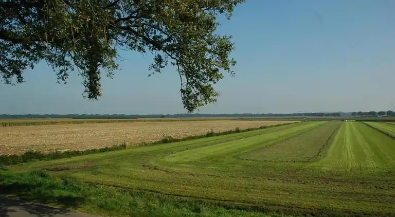 Holiday home in Huijbergen
