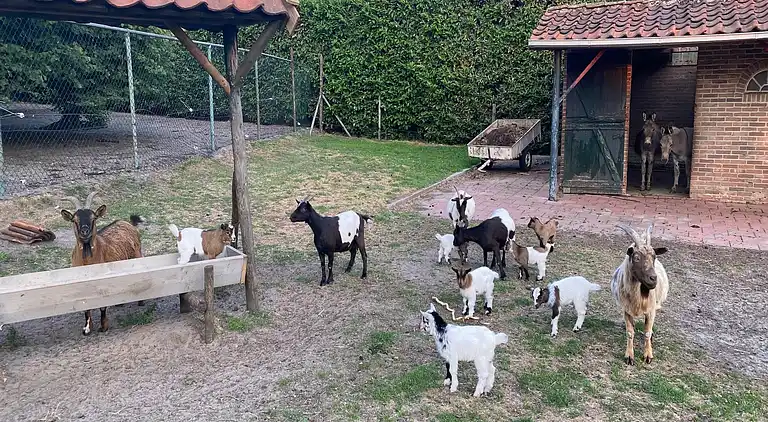 Semesterbostad i Bergen op Zoom