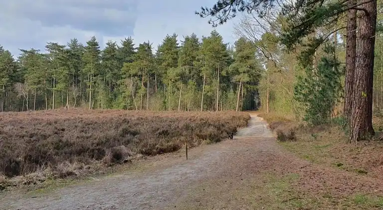 Holiday home in Huijbergen