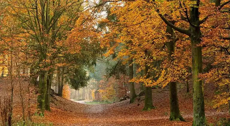 Holiday home in Huijbergen