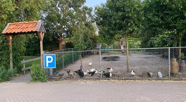 Gårdhus i Bergen op Zoom