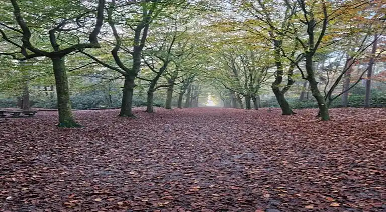 Holiday home in Huijbergen