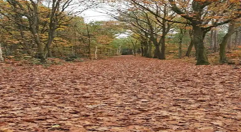 Holiday home in Huijbergen
