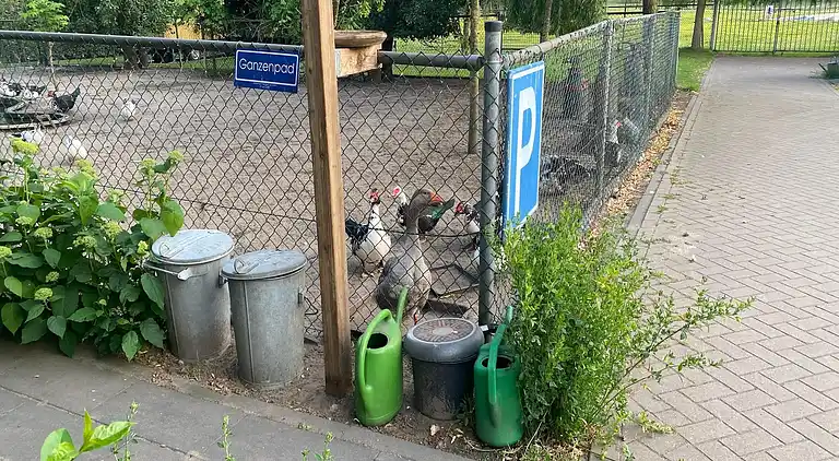 Gårdhus i Bergen op Zoom