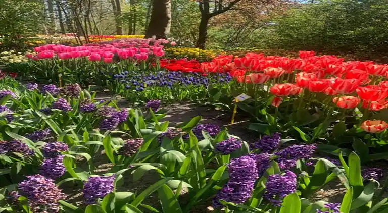 Holiday home in Schagerbrug