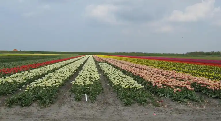 Holiday home in Schagerbrug