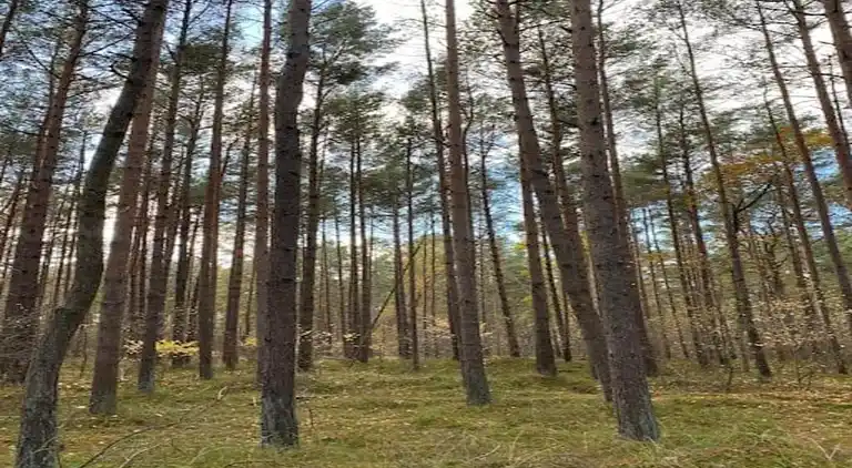 Bungalow i Weitendorf-Hof