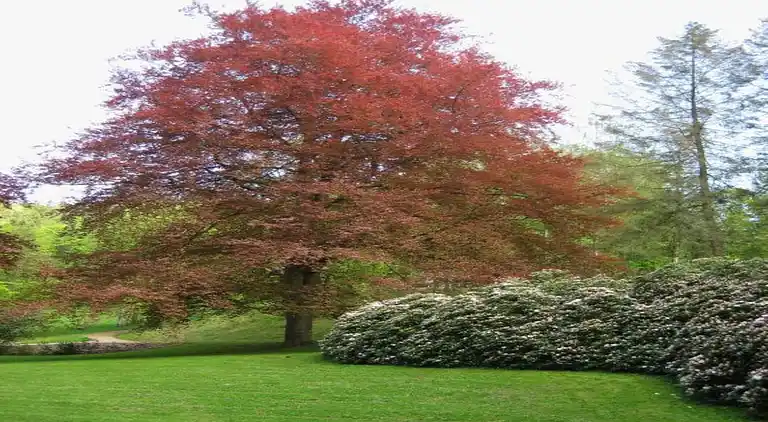 Ferielejlighed i Schwarzenbrunn