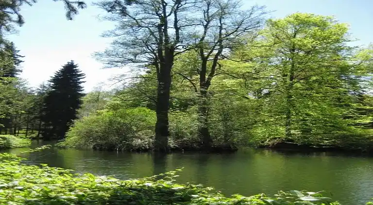 Ferielejlighed i Schwarzenbrunn