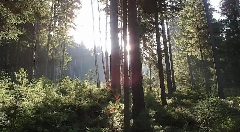 Ferielejlighed i Schwarzenbrunn