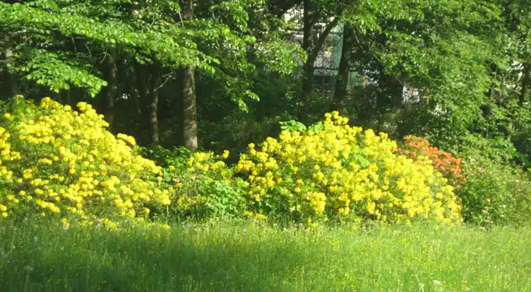 Ferielejlighed i Schwarzenbrunn