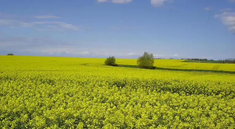 Ferielejlighed i Wendelstorf