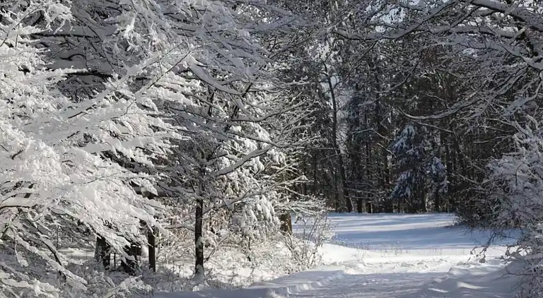 Vakantiehuis in Buchenberg