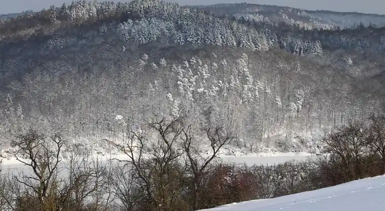 Vakantiehuis in Buchenberg