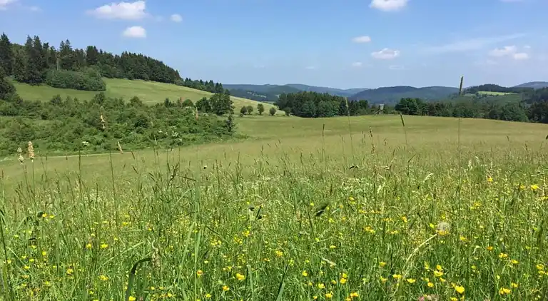 Ferielejlighed i Heringhausen