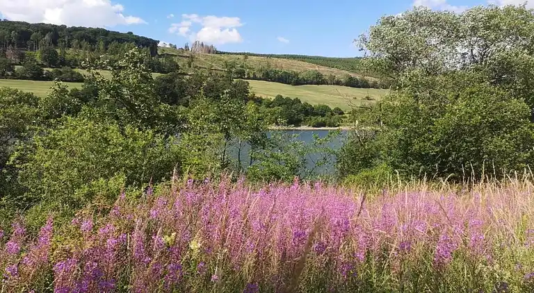 Ferielejlighed i Heringhausen