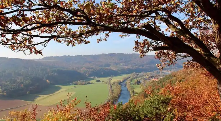 Vakantiehuis in Buchenberg