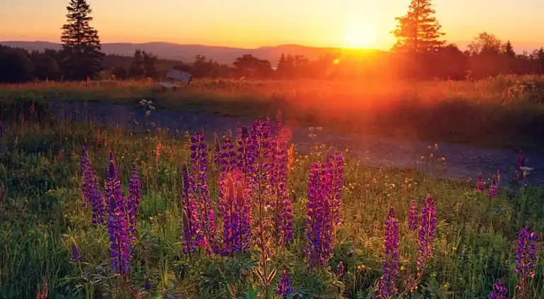 Ferielejlighed i Heringhausen