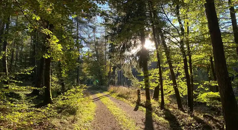 Ferielejlighed i Heringhausen