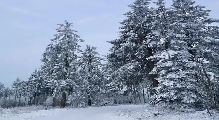 Ferielejlighed i Heringhausen