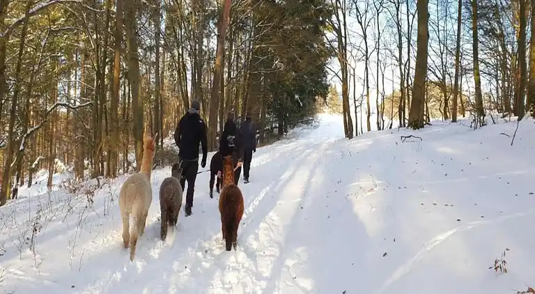 Vakantiehuis in Buchenberg