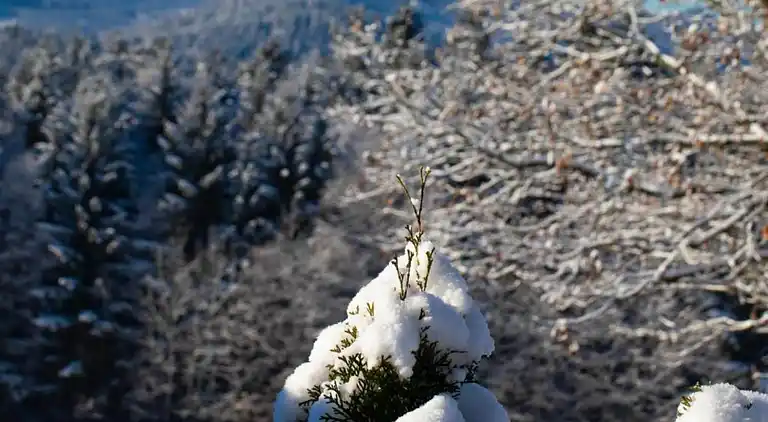 Sommerhus i Eberbach