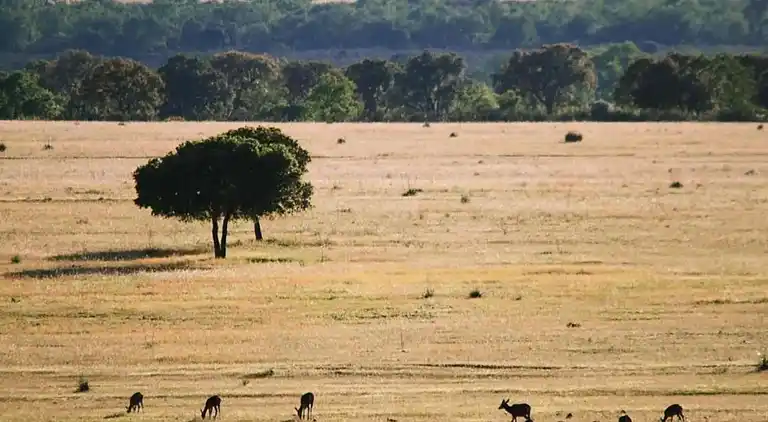 Cottage in Retuerta del Bullaque