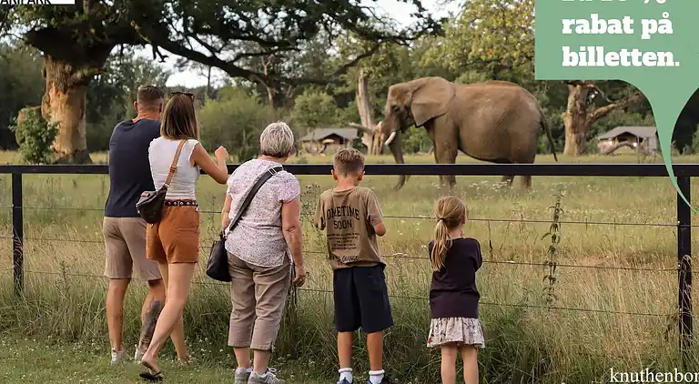 3 room,m/Harbour View,2 levels