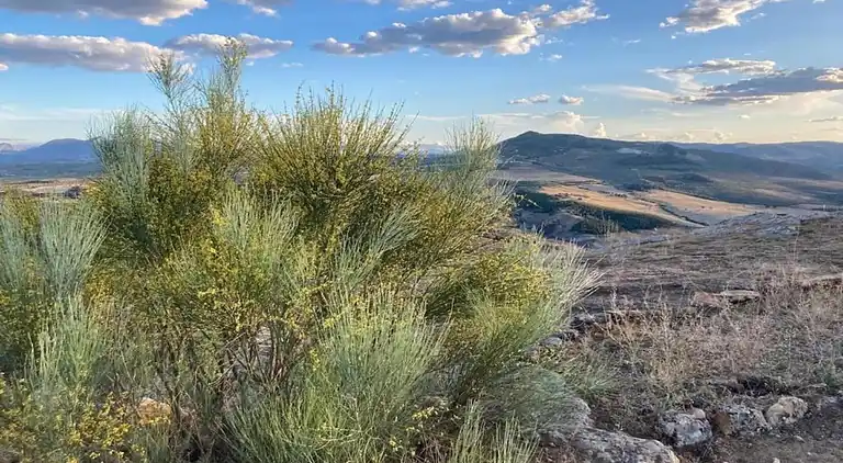 Gårdshus i Fuentes de Cesna