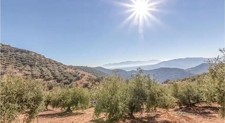 Gårdshus i Fuentes de Cesna