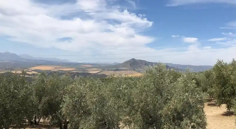 Gårdshus i Fuentes de Cesna