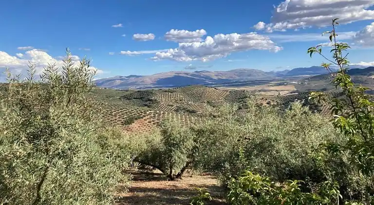 Gårdshus i Fuentes de Cesna