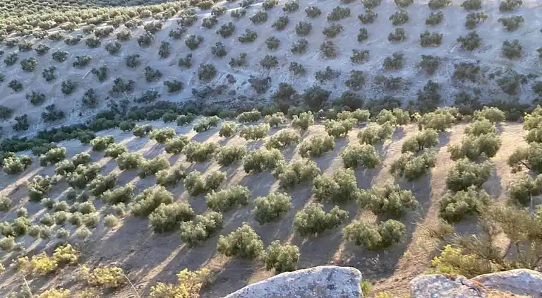 Gårdshus i Fuentes de Cesna