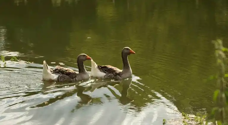Holiday home in Loubejac