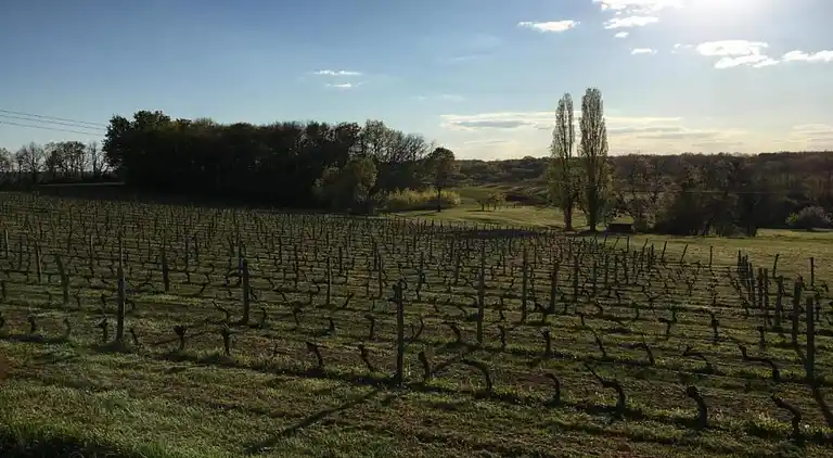 Holiday home in Beaumont-du-Périgord