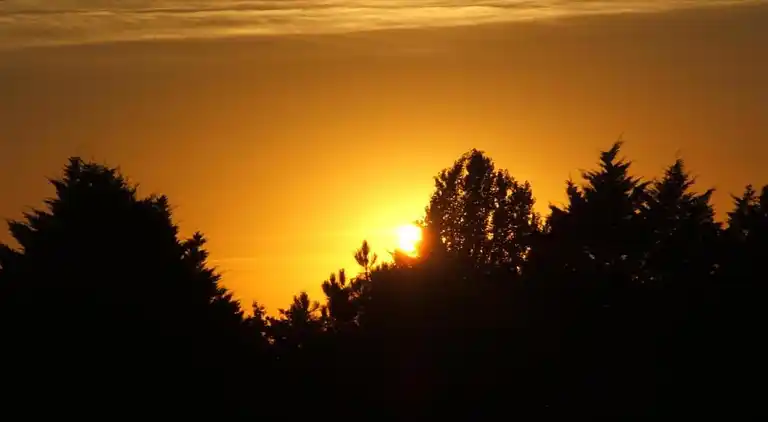 Holiday home in Saint-Cyprien