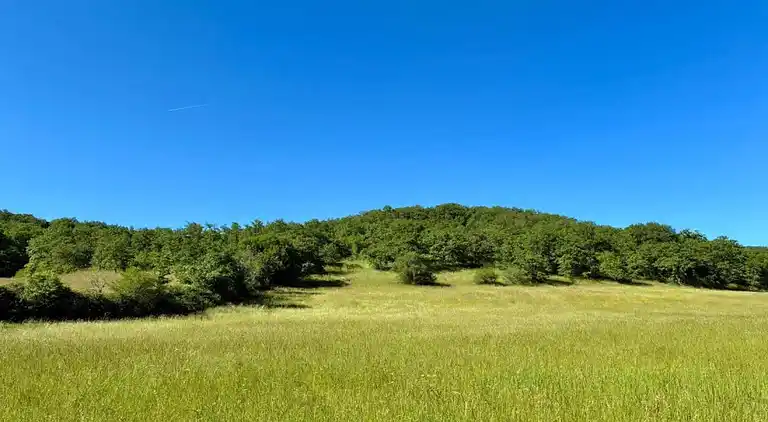 Holiday home in Labastide-Murat