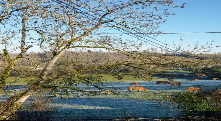 Holiday home in Marminiac