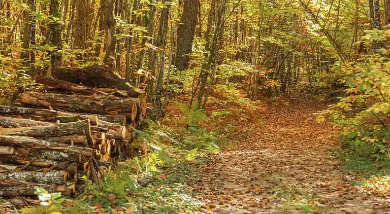 Holiday home in Marminiac