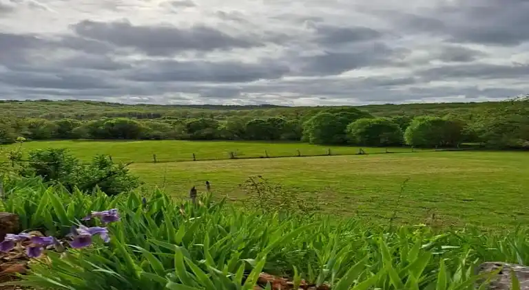 Holiday home in Catus