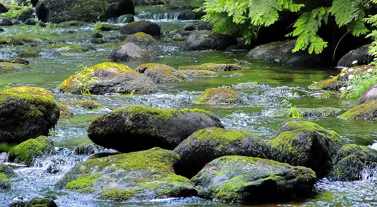 Holiday home in Meslan