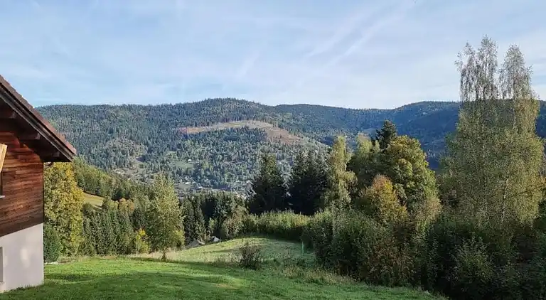 Cottage in Saulxures-sur-Moselotte