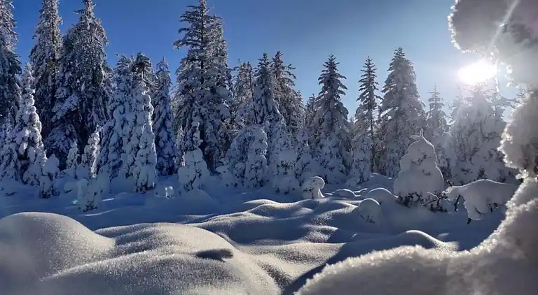 Ferielejlighed i Esley