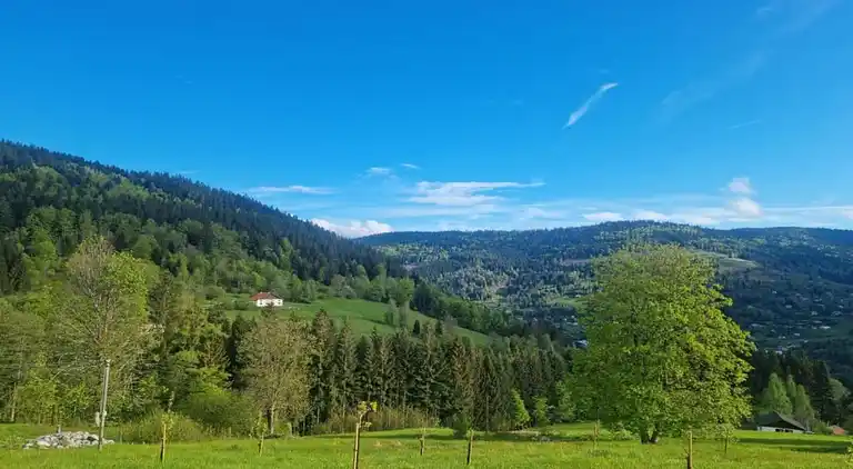 Cottage in Saulxures-sur-Moselotte