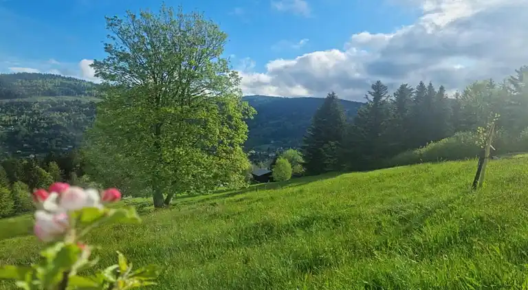 Casa vacanze in Le Val-d'Ajol