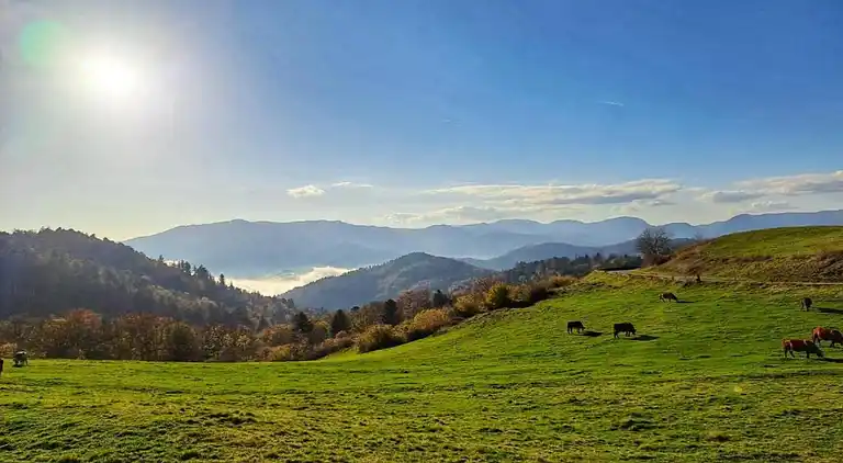 Casa vacanze in Le Val-d'Ajol